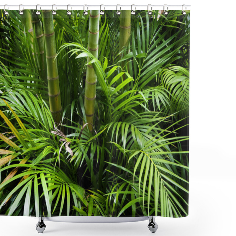 Personality  Bamboo Garden Shower Curtains