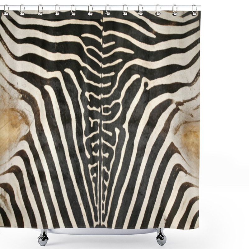 Personality  Macro Picture Of A Zebra Skin Texture As A  Background Shower Curtains