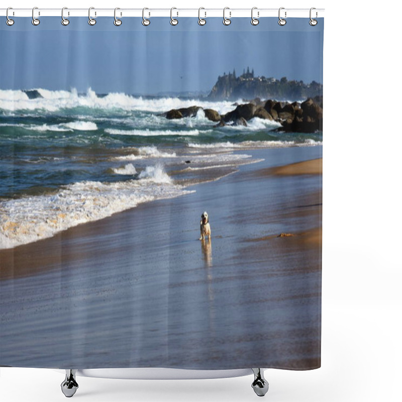 Personality  Small Dog Playing On The Beach Shower Curtains