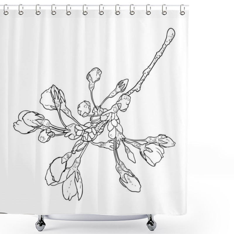 Personality  Hand Drawn Isolated Sakura Branch Twig. Spring Cherry Blossom Flowers Illustration In Black And White. National Flowers Of Japan. Tree Stick Of Sakura Pops And Buds Opening. Vector.  Shower Curtains