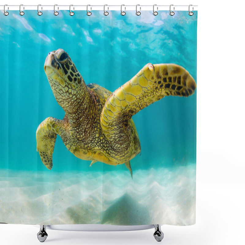 Personality  Hawaiian Green Sea Turtle Cruising In The Warm Waters Of The Pacific Ocean In Hawaii Shower Curtains