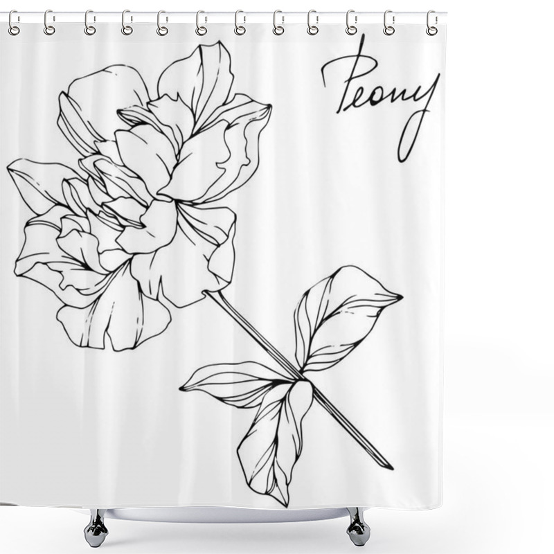 Personality  Vector Isolated Monochrome Peony Flower Sketch And Handwritten Lettering On White Background. Engraved Ink Art.  Shower Curtains