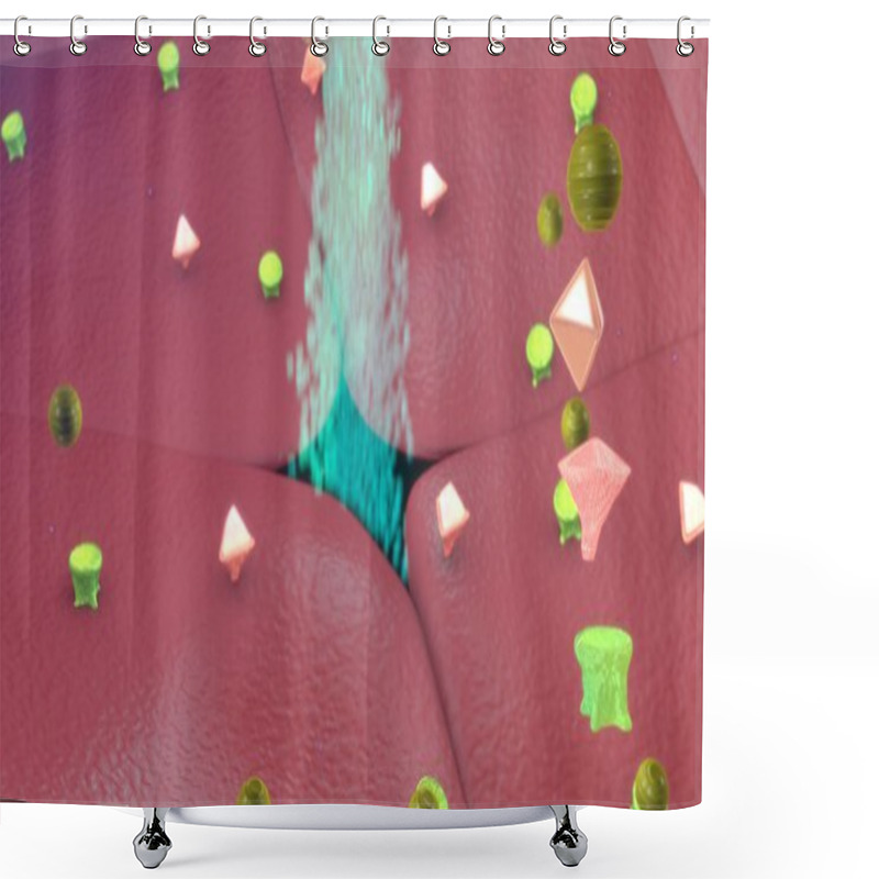 Personality  Anaphylaxix, Allergic Reaction Physiology Shower Curtains