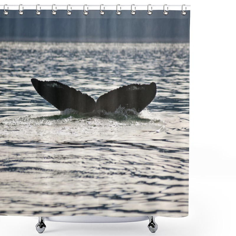 Personality  Humpback Whale Tail Shower Curtains