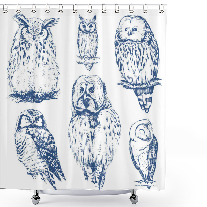 Personality  Different Owls Collection. Shower Curtains