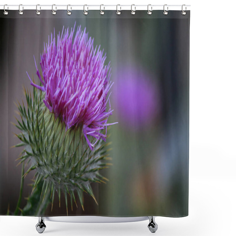 Personality  Thistle Flower Head  Shower Curtains