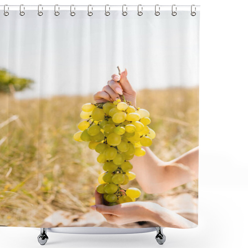 Personality  Partial View Of Woman Holding Bunch Of Delicious Grapes In Meadow Shower Curtains