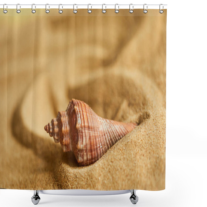 Personality  Shell On Sandy Beach  Shower Curtains