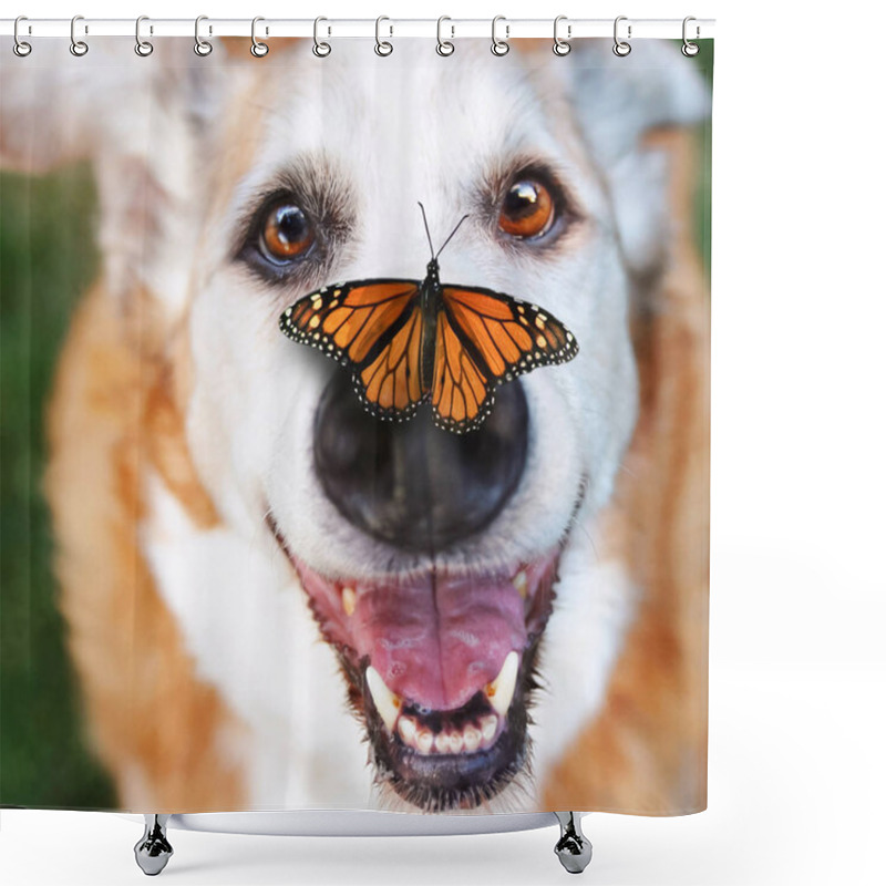 Personality  Senior Dog Laying In The Grass In A Backyard Smiling At The Camera With A Butterfly On His Nose Shower Curtains