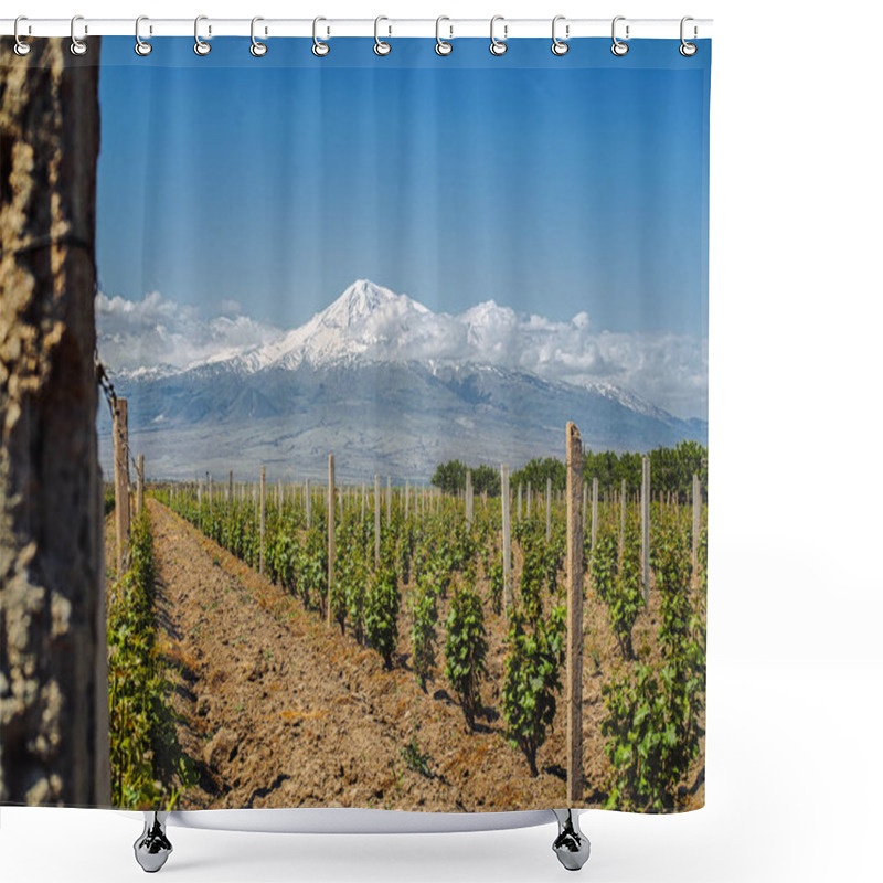 Personality  Rows Of Green Plants On Agriculture Field With Mountains On Background, Armenia Shower Curtains