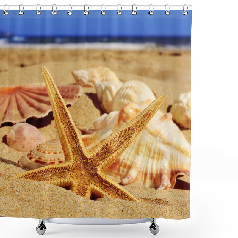 Personality  Starfish And Seashells On The Sand Of A Beach Shower Curtains