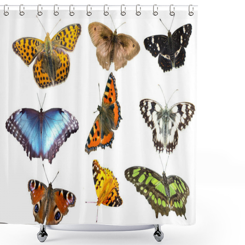 Personality  Many Butterfly Species Isolated Shower Curtains