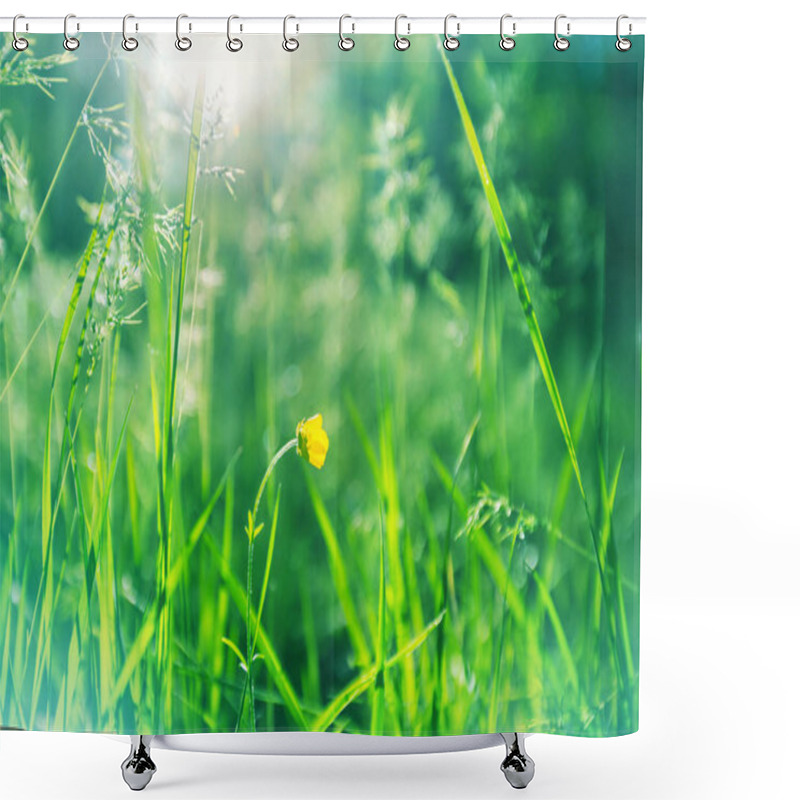 Personality  Sunny Day On The Flowers Meadow. Beautiful Natural Background. Shower Curtains