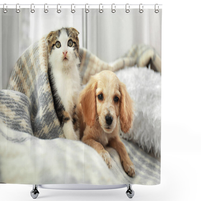 Personality  Adorable Little Kitten And Puppy Under Plaid Indoors Shower Curtains