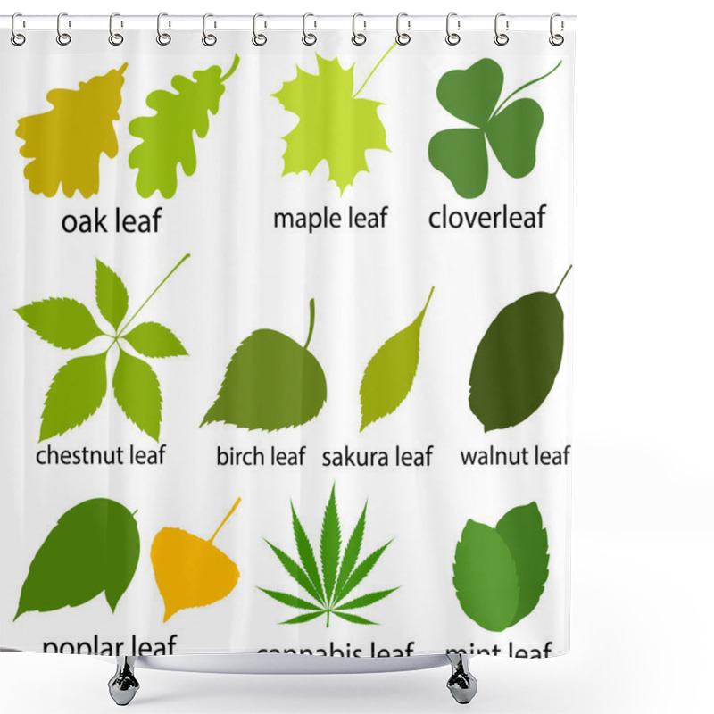 Personality  Vector Set Of Leaves Of Trees. Shower Curtains