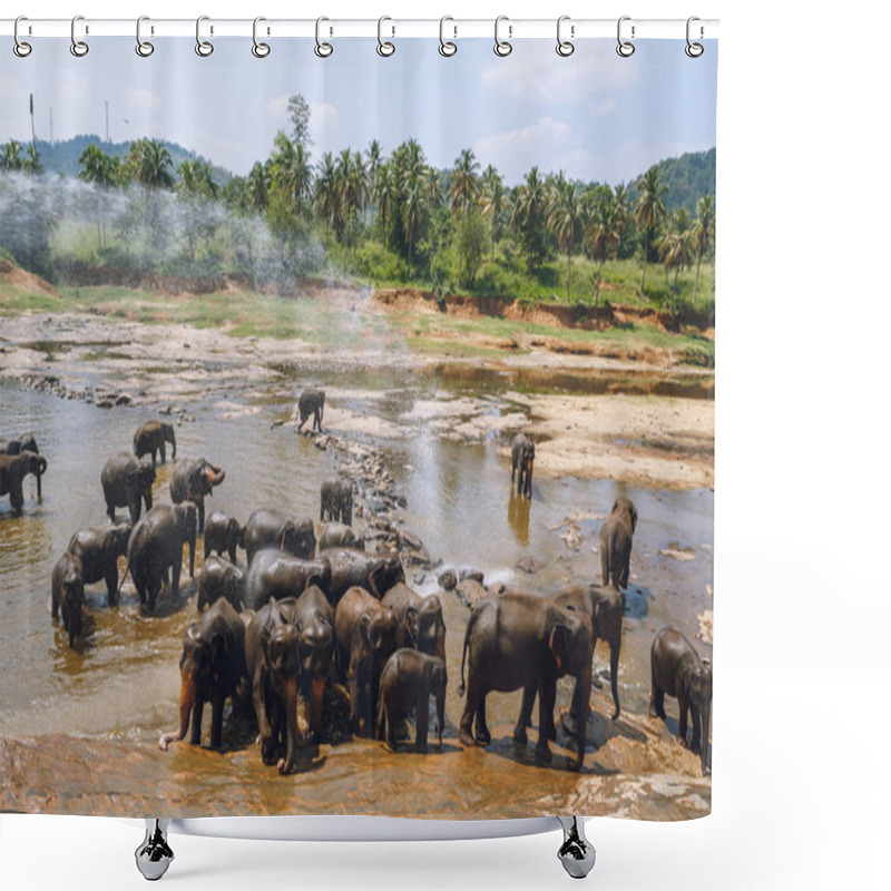 Personality  Elephants Shower Curtains