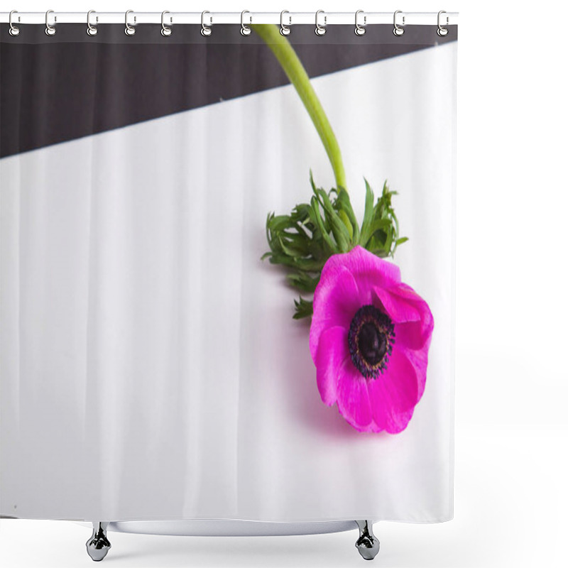 Personality  Beautiful Purple Anemone Flower On White Background, Close-up  Shower Curtains