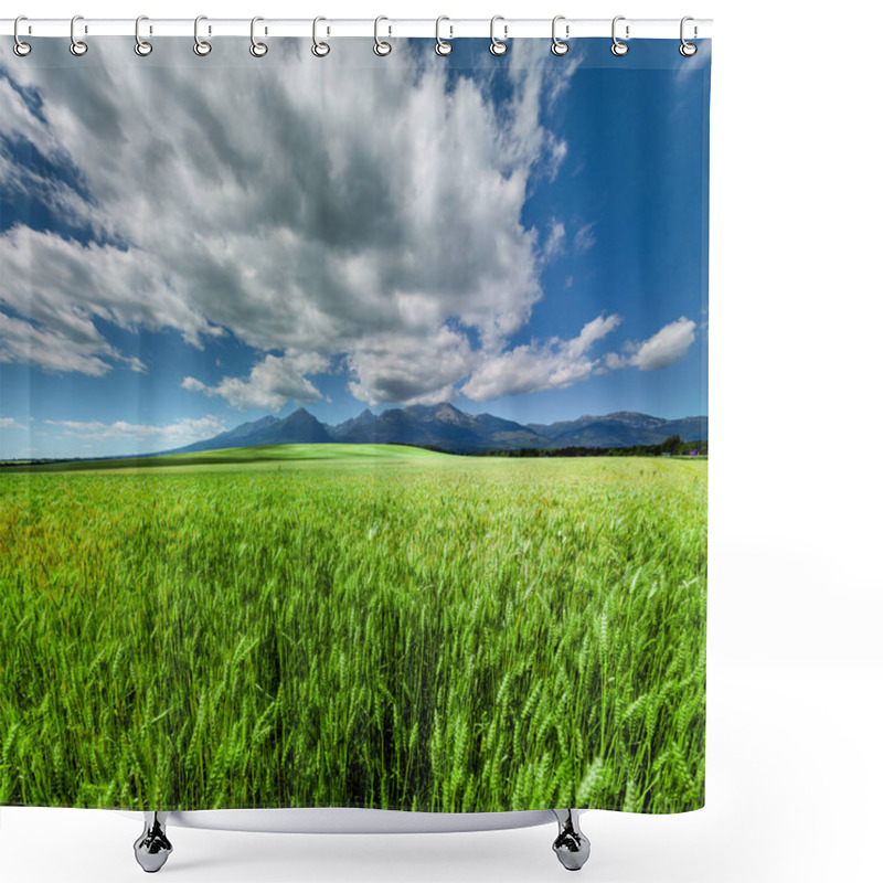 Personality  Fresh Green Wheat Field Under Scenic Dramatic Sky Shower Curtains