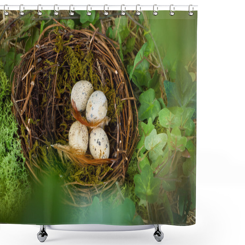 Personality  Hidden Nest With Eggs Shower Curtains