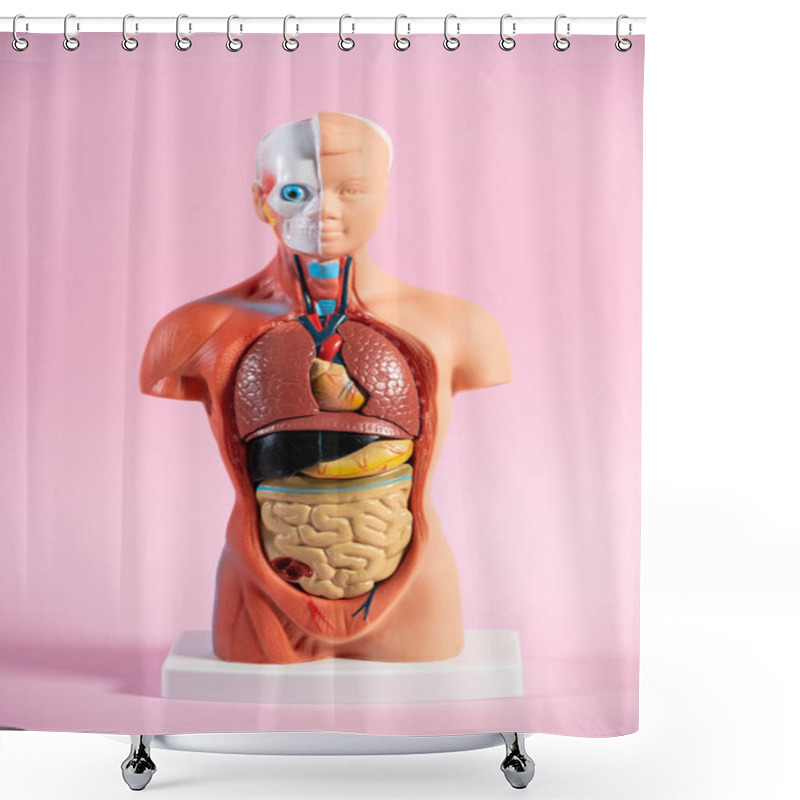 Personality  Anatomical Mannequin For Teaching Human Organs Shower Curtains