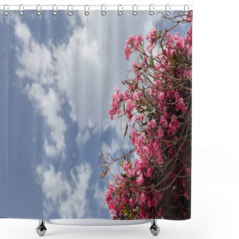 Personality  Bottom View Of Pink Blooming Plant With Cloudy Sky At Background  Shower Curtains