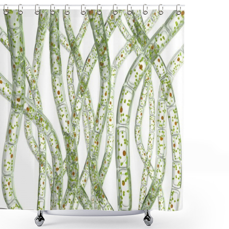 Personality  Cells Of Algae, Microscopic View. Shower Curtains