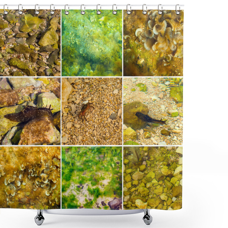 Personality  Adriatic Sea Background Shower Curtains