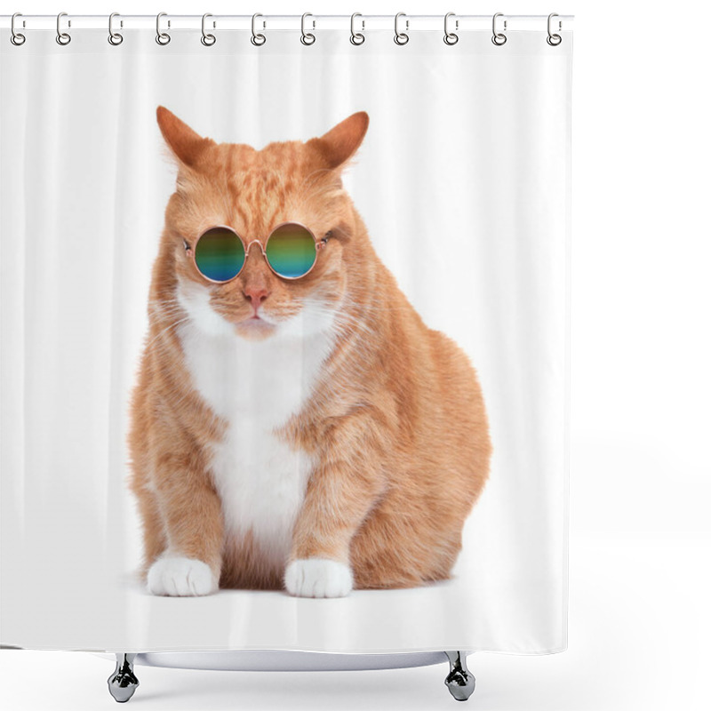 Personality  Cute Ginger Cat In Stylish Sunglasses On White Background Shower Curtains