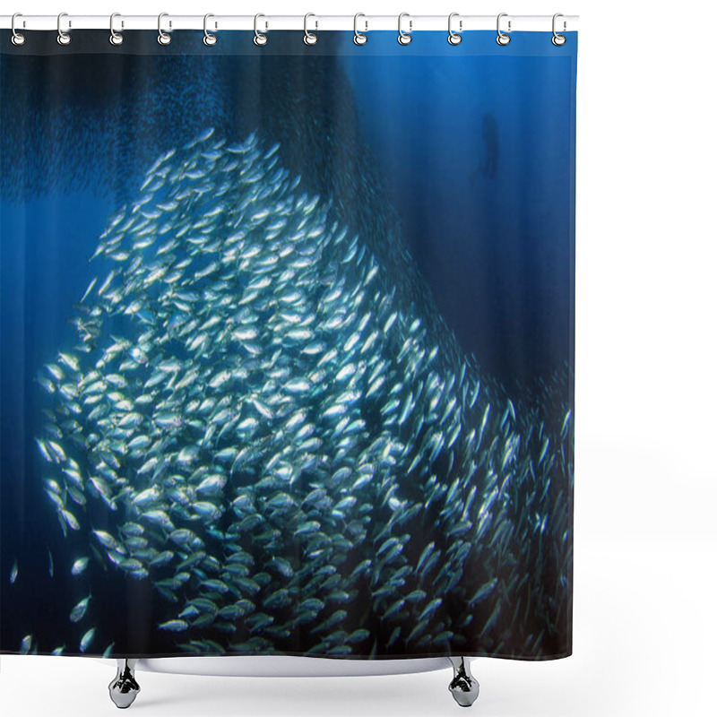 Personality  Sardine Run In Moalboal. Cebu, Philippines Shower Curtains