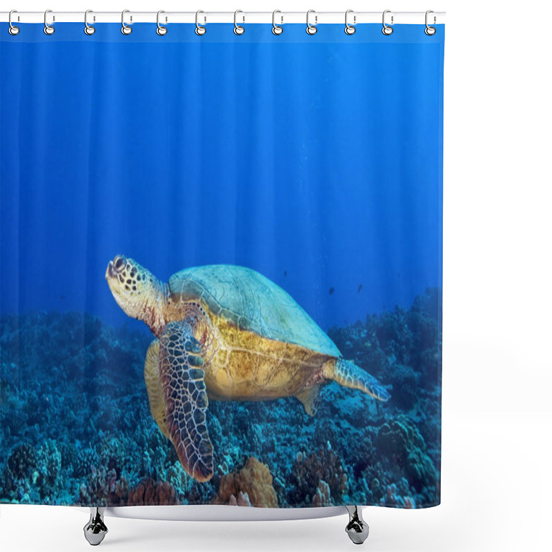 Personality  Turtle Swimming At Hawaii Coral Reef Shower Curtains