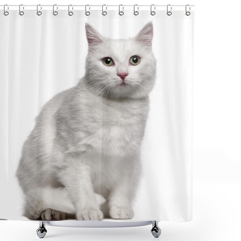 Personality  Mixed-breed Cat, 1 Year Old, Sitting In Front Of White Background Shower Curtains