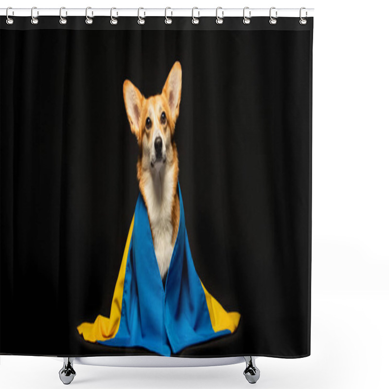 Personality  Beautiful Welsh Corgi Pembroke With Ukraine Flag On Black Background. Patriotic Ukrainian Dog. Peaceful Protest Against The War Shower Curtains