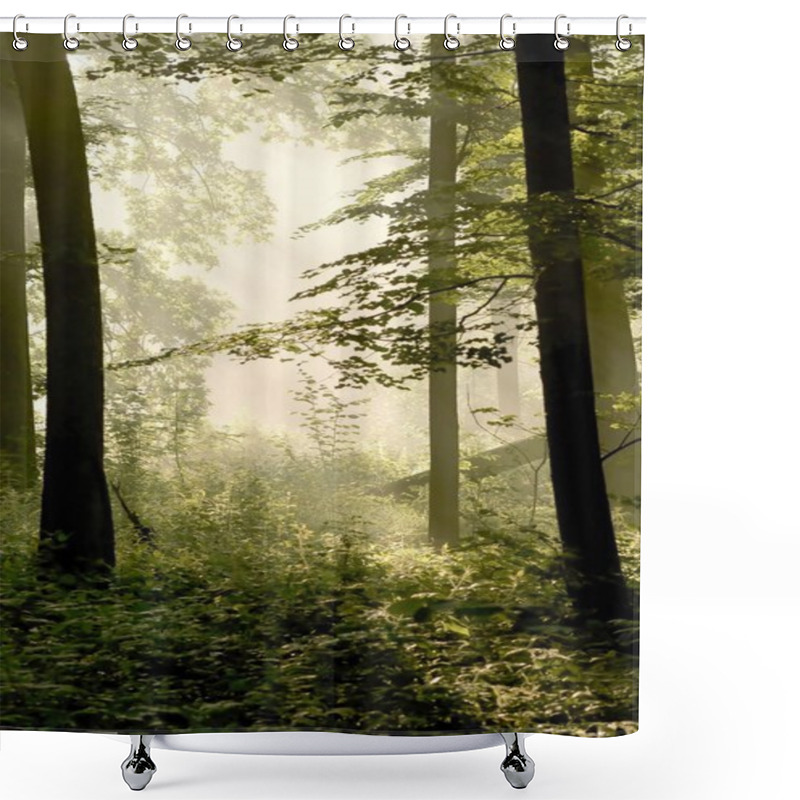 Personality  Sunbeams Falls Into Spring Forest Shower Curtains