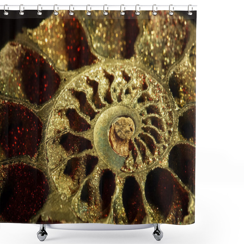 Personality  Ammonite, Macro, Inclined Shower Curtains