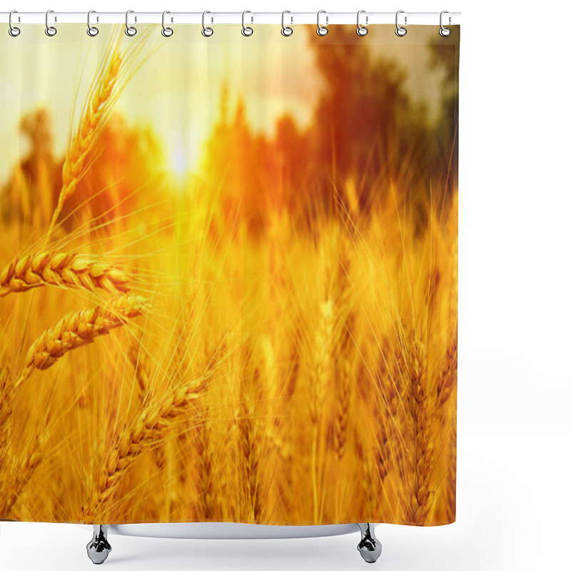 Personality  Wheat Field On Sun. Shower Curtains