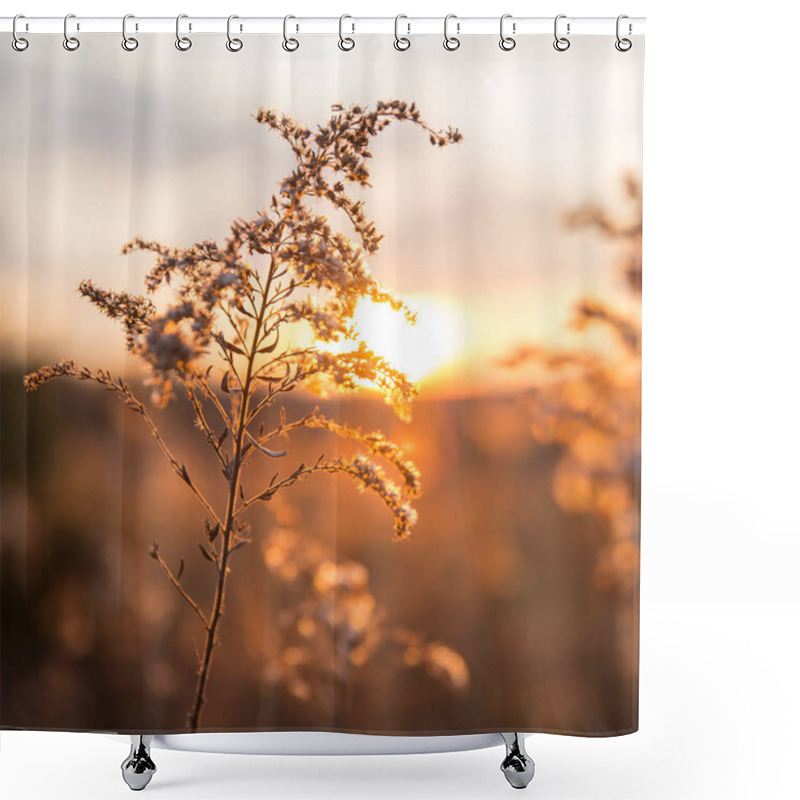 Personality  Dried Wild Grass And Country Fields With Winter Sunset In Blurred Background Shower Curtains