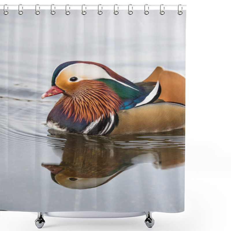 Personality  male mandarin duck shower curtains