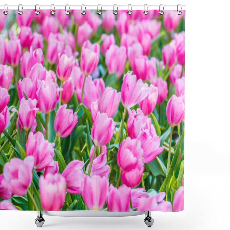 Personality  Tulips Flowers Blooming Shower Curtains