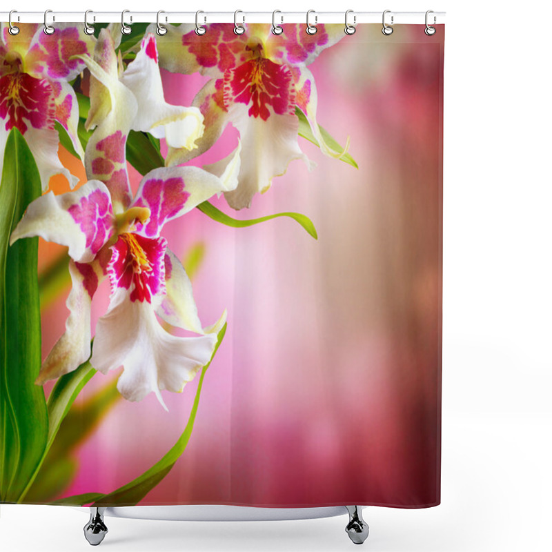 Personality  Orchid Flowers Design Shower Curtains