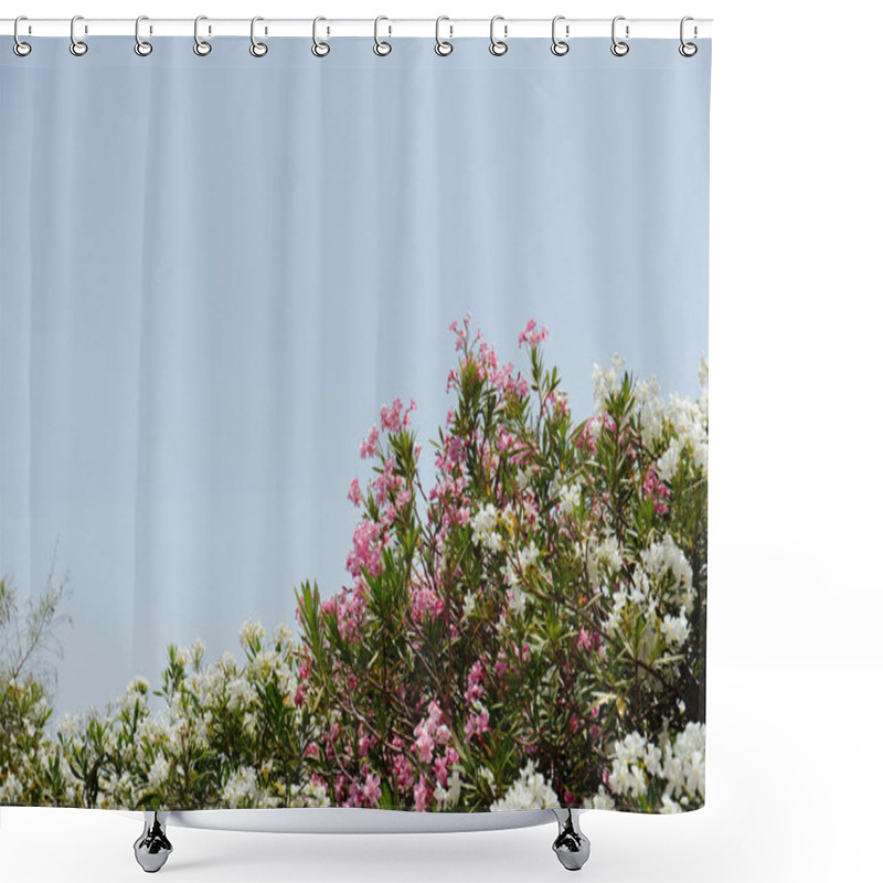 Personality  Selective Focus Of Plants With White And Pink Flowers And Clear Sky At Background  Shower Curtains