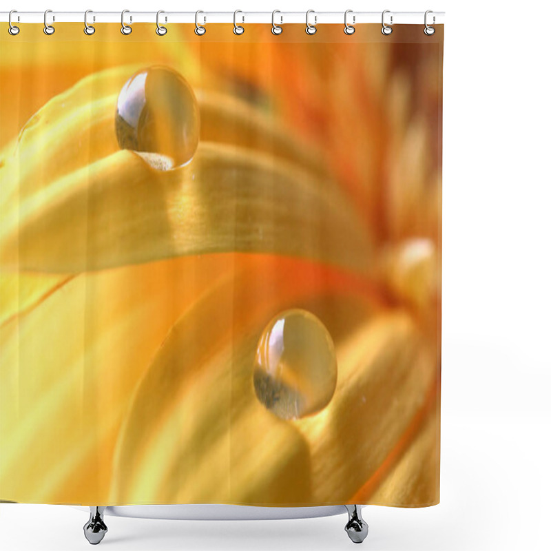 Personality  Gerbera Flower Petals, Flora Shower Curtains