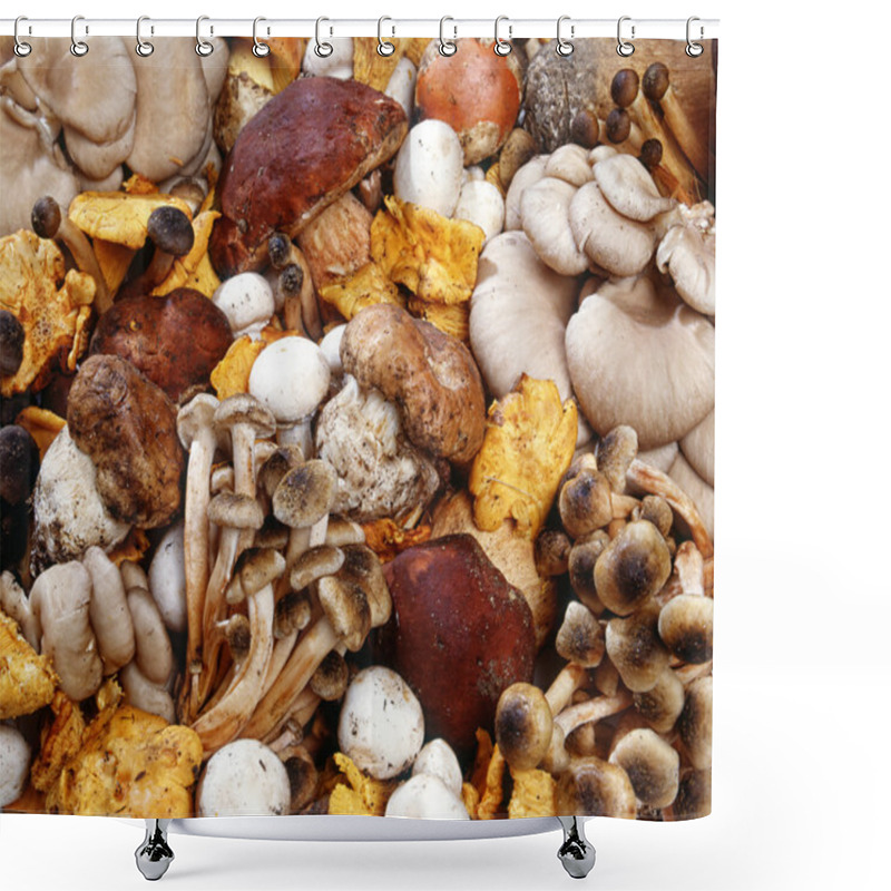 Personality  Assorted Collection Of Fresh Mushrooms Shower Curtains