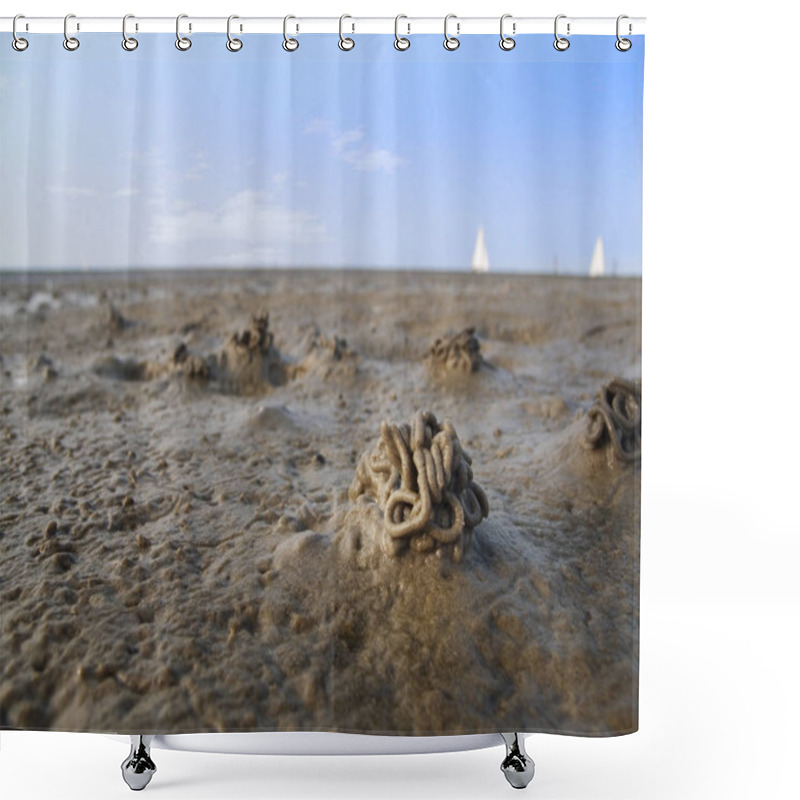 Personality  Close-up Close-up Of Several Lumpworm Piles At Low Tide On The Beach Of Bensersiel (ostfriesland) Shower Curtains