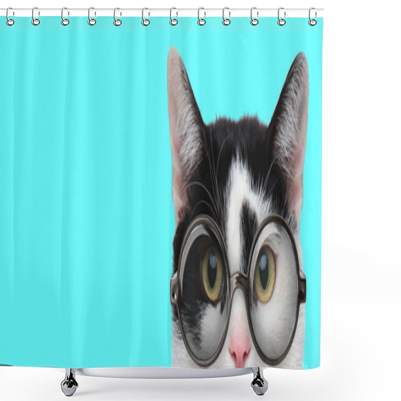 Personality  Nerdy Funny Metis Cat Wearing Eyeglasses With Only Half Of Face Exposed On Blue Background Shower Curtains