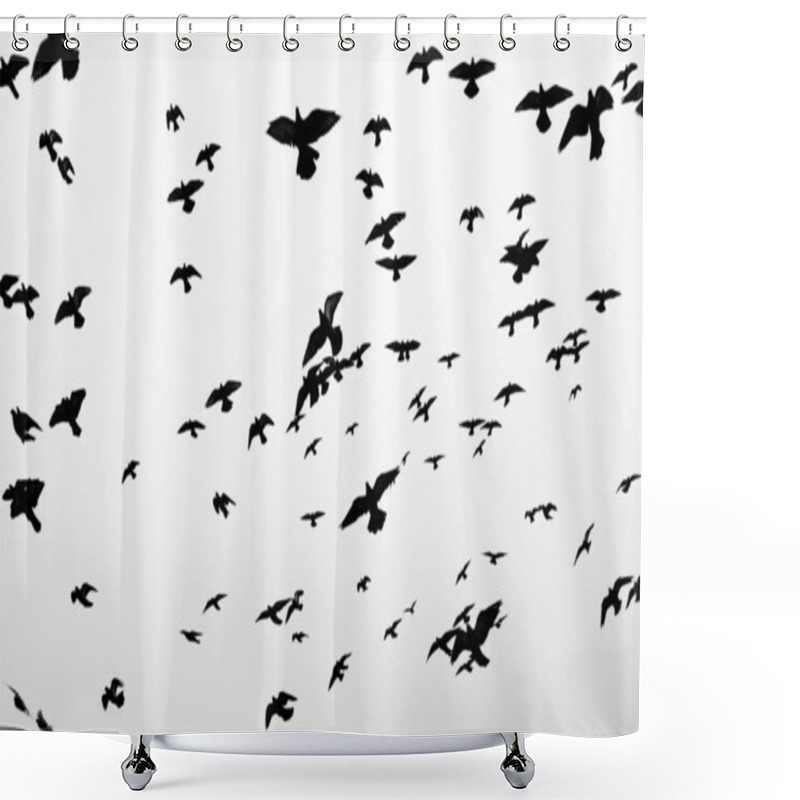 Personality  Birds Silhouettes Shower Curtains