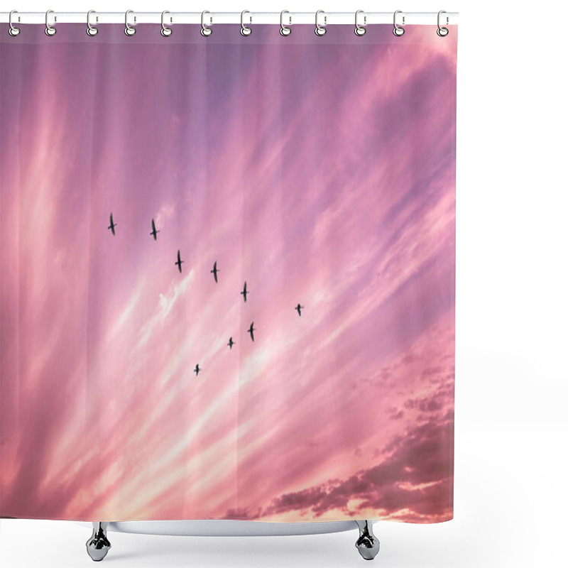 Personality  Migratory Birds Flying In The Shape Of V On The Cloudy Sunset Sky. Sky And Clouds With Effect Of Pastel Colored.  Shower Curtains