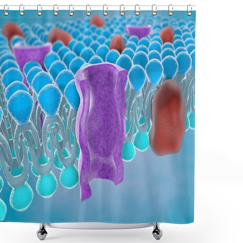 Personality  Structure Of Plasma Membrane Of Cell Shower Curtains