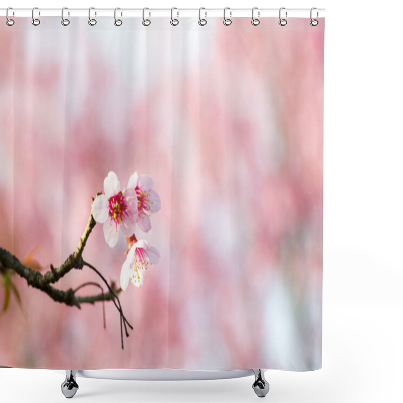 Personality  Sakura Flowers Or Cherry Blossoms Shower Curtains