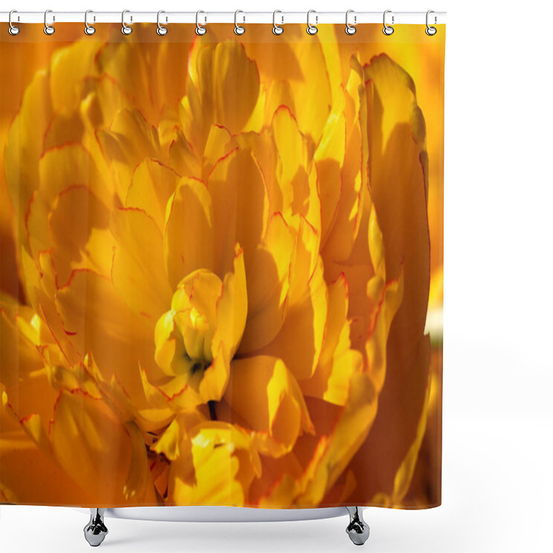 Personality  Yellow Tulip Close-up. Beautiful Flower Macro Shot. Shower Curtains