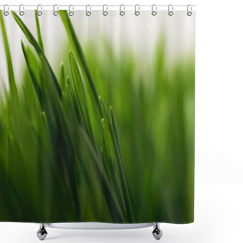 Personality  Full Frame Of Green Grass Stems Shower Curtains